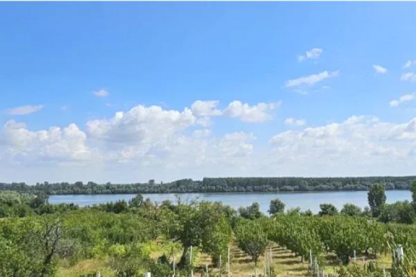 prodaja, plac,
plavinci-grocka-beograd, 1098630, careva-glavica