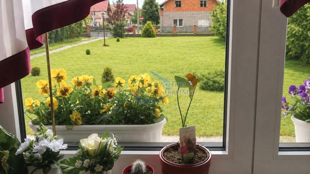 Kuća, Petosoban, Prodaja, 290m2, Širi centar, Gradska lokacija, Stevana Sremca