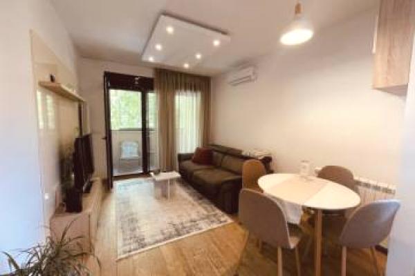 izdavanje, stanova,
beograd, 1099703, dvosoban-bulevar-oslobodenja