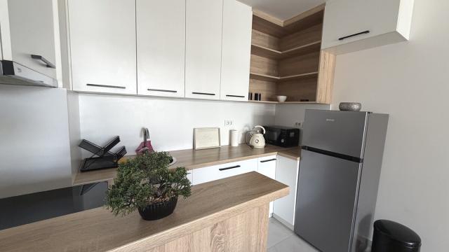Stan, Dvosoban, Izdavanje, 46m2, Slanački put