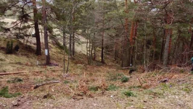 Plac, Prodaja, m2, Divčibare, Okolno mesto, Divčibare