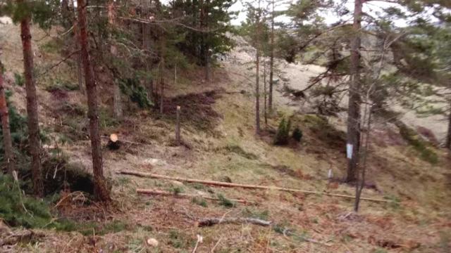 Plac, Prodaja, m2, Divčibare, Okolno mesto, Divčibare