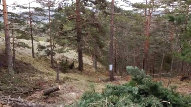 Plac, Prodaja, m2, Divčibare, Okolno mesto, Divčibare