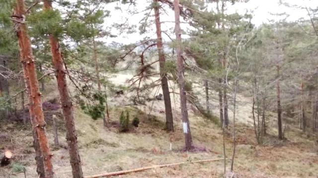 Plac, Prodaja, m2, Divčibare, Okolno mesto, Divčibare