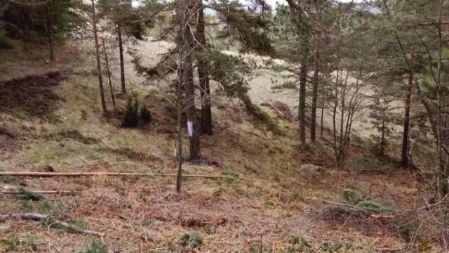 Plac, Prodaja, m2, Divčibare, Okolno mesto, Divčibare