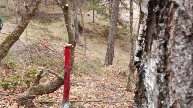 Plac, Prodaja, m2, Divčibare, Okolno mesto, Divčibare