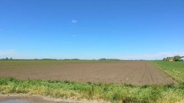 Plac, Prodaja, m2, Bačko Petrovo Selo, Okolno mesto, Ranička