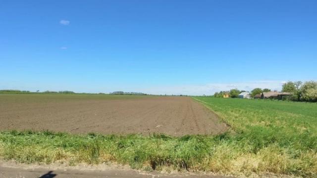 Plac, Prodaja, m2, Bačko Petrovo Selo, Okolno mesto, Ranička