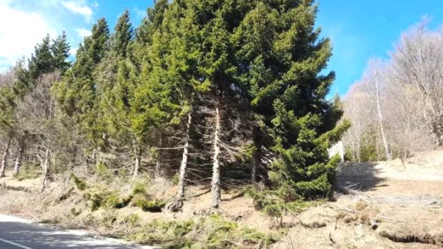 Plac, Prodaja, m2, Plešin, Okolno mesto, Plešin