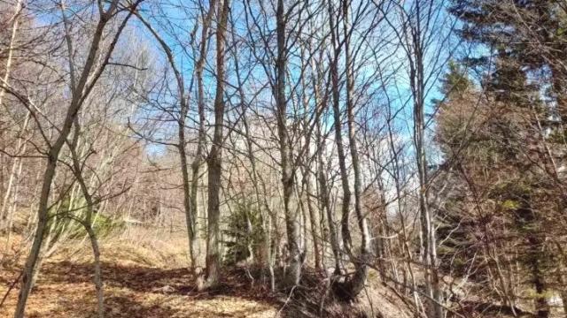 Plac, Prodaja, m2, Plešin, Okolno mesto, Plešin