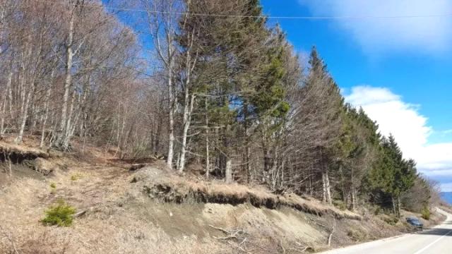 Plac, Prodaja, m2, Plešin, Okolno mesto, Plešin