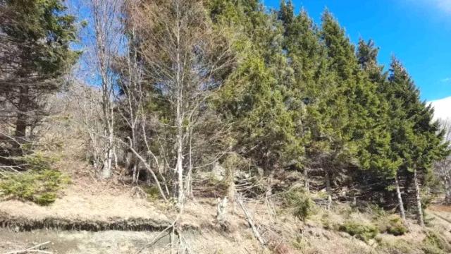 Plac, Prodaja, m2, Plešin, Okolno mesto, Plešin