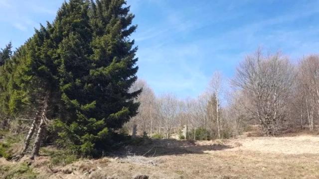 Plac, Prodaja, m2, Plešin, Okolno mesto, Plešin