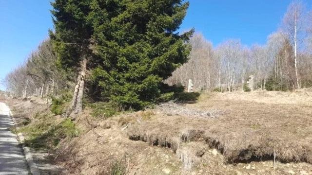 Plac, Prodaja, m2, Plešin, Okolno mesto, Plešin