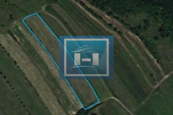 prodaja, plac,
donji-racnik-opstina-jagodina, 560136, plac