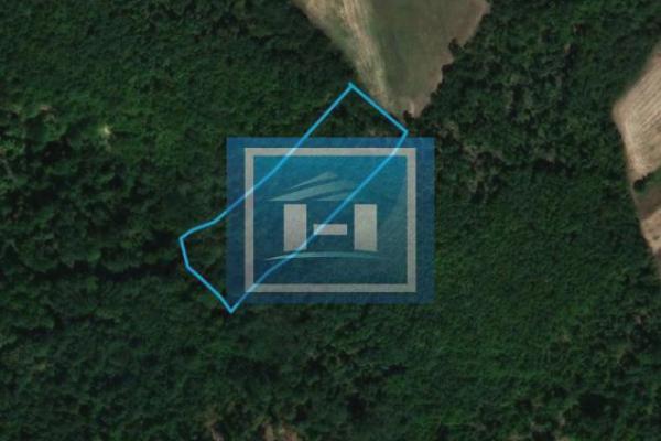 prodaja, plac,
vrba-opstina-jagodina, 560134, plac