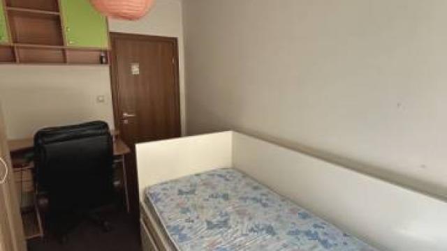 Stan, Dvosoban, Izdavanje, 37m2, Matice Srpske
