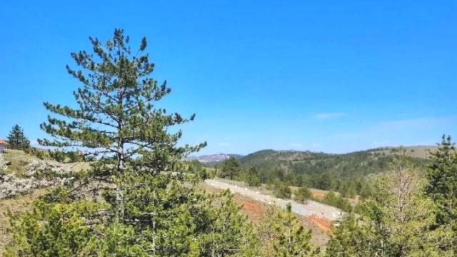 Plac, Prodaja, m2, Tornik, Okolno mesto, Tornik