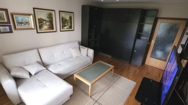 Stan, Dvosoban, Izdavanje, 59m2, Živana Saramandića