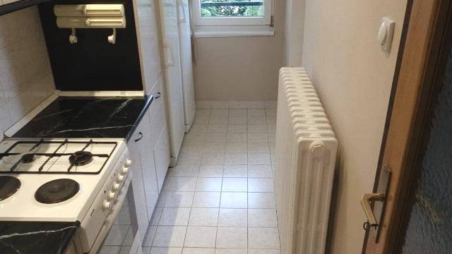 Stan, Dvosoban, Izdavanje, 59m2, Živana Saramandića