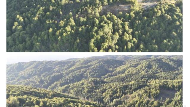 Plac, Prodaja, m2, Vikend naselje