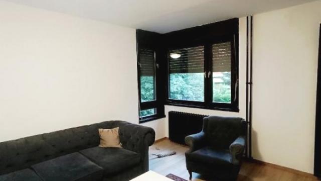 Stan, Jednoiposoban, Izdavanje, 54m2, Višnjička Banja, Palilula, Višinjički venac
