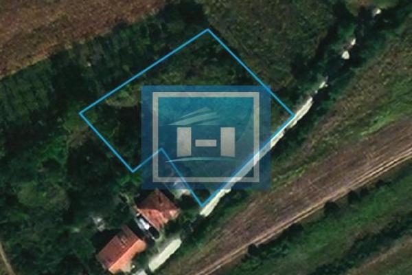 prodaja, plac,
majur-opstina-jagodina, 478988, plac