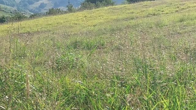 Plac, Prodaja, m2, Šakotinac, Okolno mesto, Šakotinac