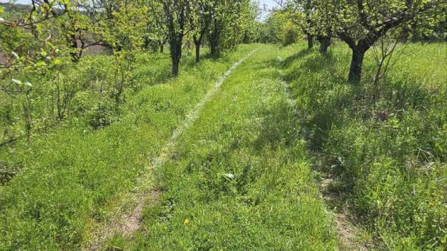 Kuća, četvorosoban, Prodaja, 123m2, Devojački Bunar, Okolno mesto, Devojački Bunar