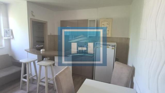 Stan, Dvosoban, Izdavanje, 43m2, Centar, Gradska lokacija, Paraćin