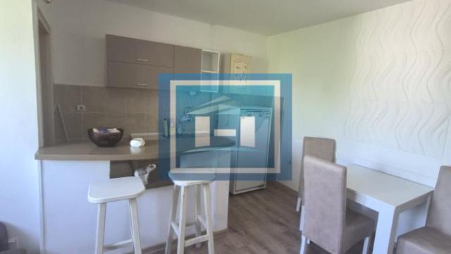 Stan, Dvosoban, Izdavanje, 43m2, Centar, Gradska lokacija, Paraćin