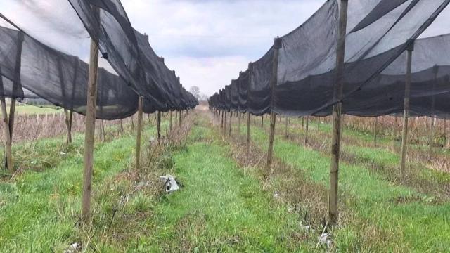 Plac, Prodaja, m2, Zminjak, Okolno mesto, Zminjak
