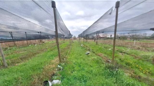 Plac, Prodaja, m2, Zminjak, Okolno mesto, Zminjak