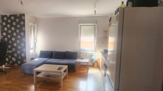 Stan, Dvosoban, Prodaja, 44m2, Hajduk Stankova