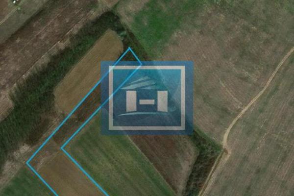 prodaja, plac,
stipljanski-put-grad-jagodina, 1105506, plac