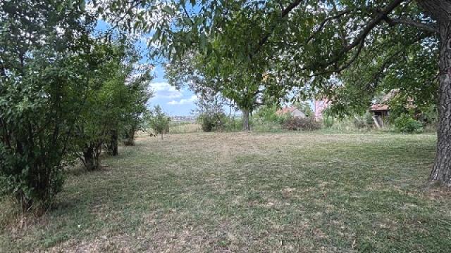 Plac, Prodaja, 2000m2, Pinosava, Voždovac, Igora Urosevica