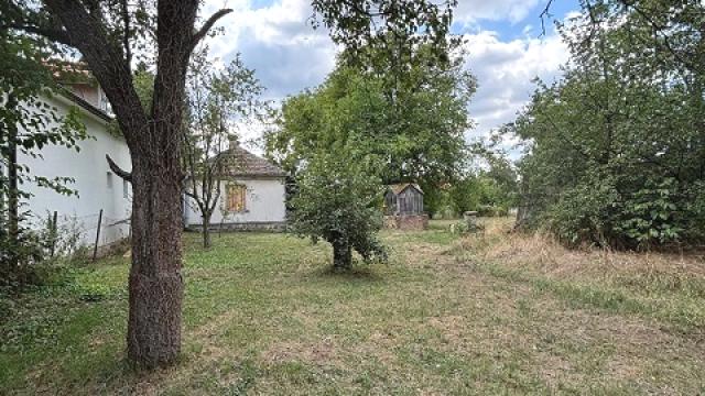 Plac, Prodaja, 2000m2, Pinosava, Voždovac, Igora Urosevica