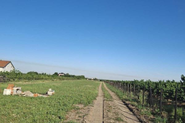 prodaja, plac,
becmen-surcin-beograd, 1107034, becmen