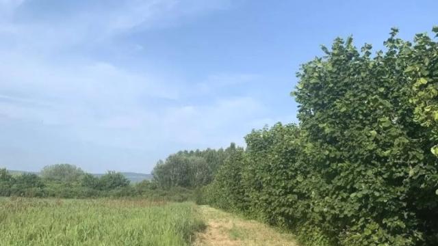 Plac, Prodaja, m2, Veliko Gradiste