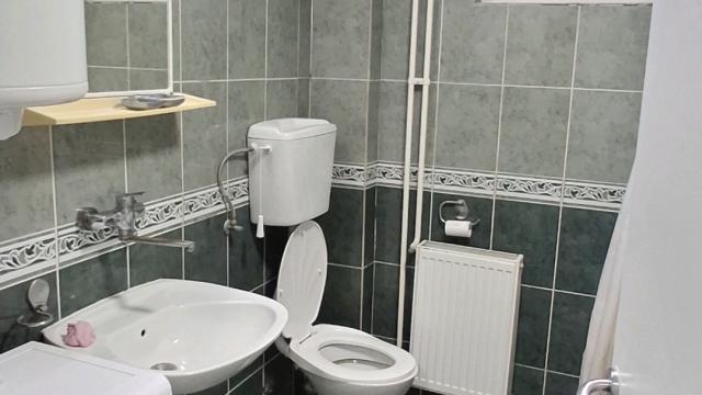 Stan, Dvosoban, Izdavanje, 45m2, Cara Dušana