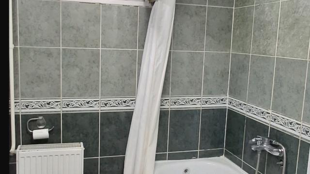 Stan, Dvosoban, Izdavanje, 45m2, Cara Dušana