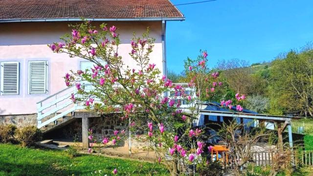 Kuća, Petosoban, Prodaja, 197m2, Artiljevo, Petrovaradin, Mala Kamenica 2