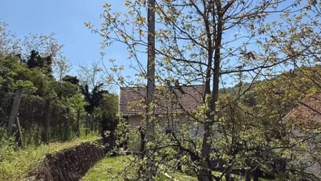 Kuća, Petosoban, Prodaja, 197m2, Artiljevo, Petrovaradin, Mala Kamenica 2