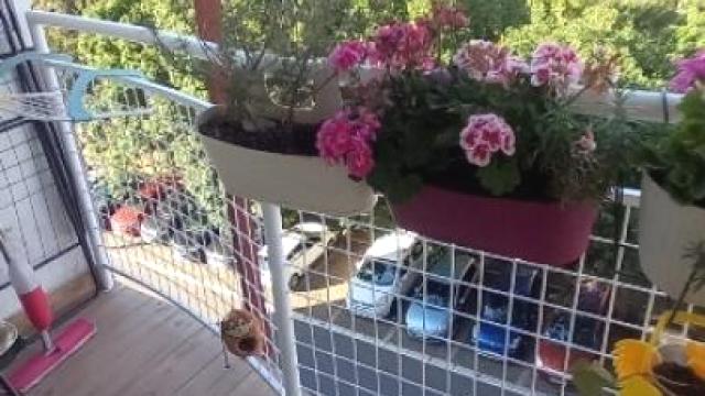 Stan, Jednoiposoban, Prodaja, 50m2, Filmski grad, Čukarica, Ratka Mitrovića