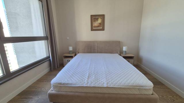 Stan, Dvosoban, Izdavanje, 53m2, Bulevar Vudroa Vilsona