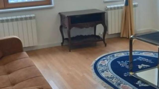 Stan, Dvosoban, Izdavanje, 47m2, Zemun, Petra Kočića