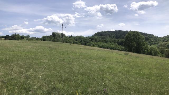 Plac, Prodaja, m2, Sljivovica/Branesci