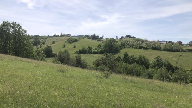 Plac, Prodaja, m2, Sljivovica/Branesci