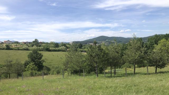 Plac, Prodaja, m2, Sljivovica/Branesci