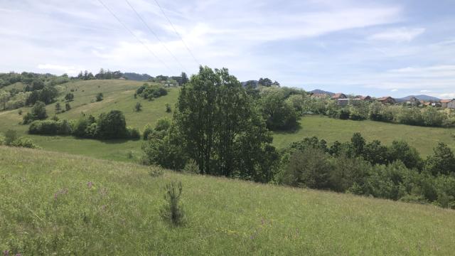 Plac, Prodaja, m2, Sljivovica/Branesci